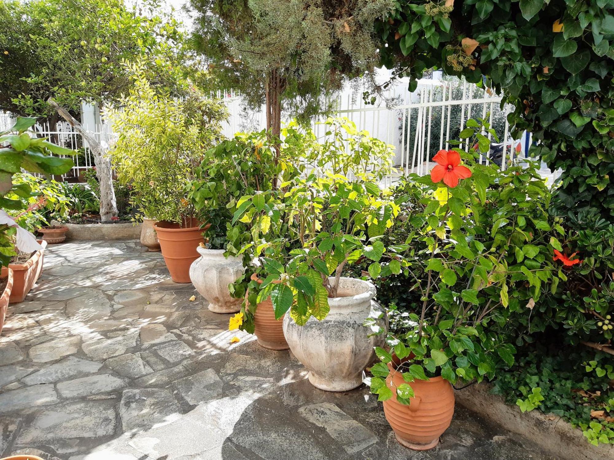 The Elegant Summer House Spetses Town Exterior photo